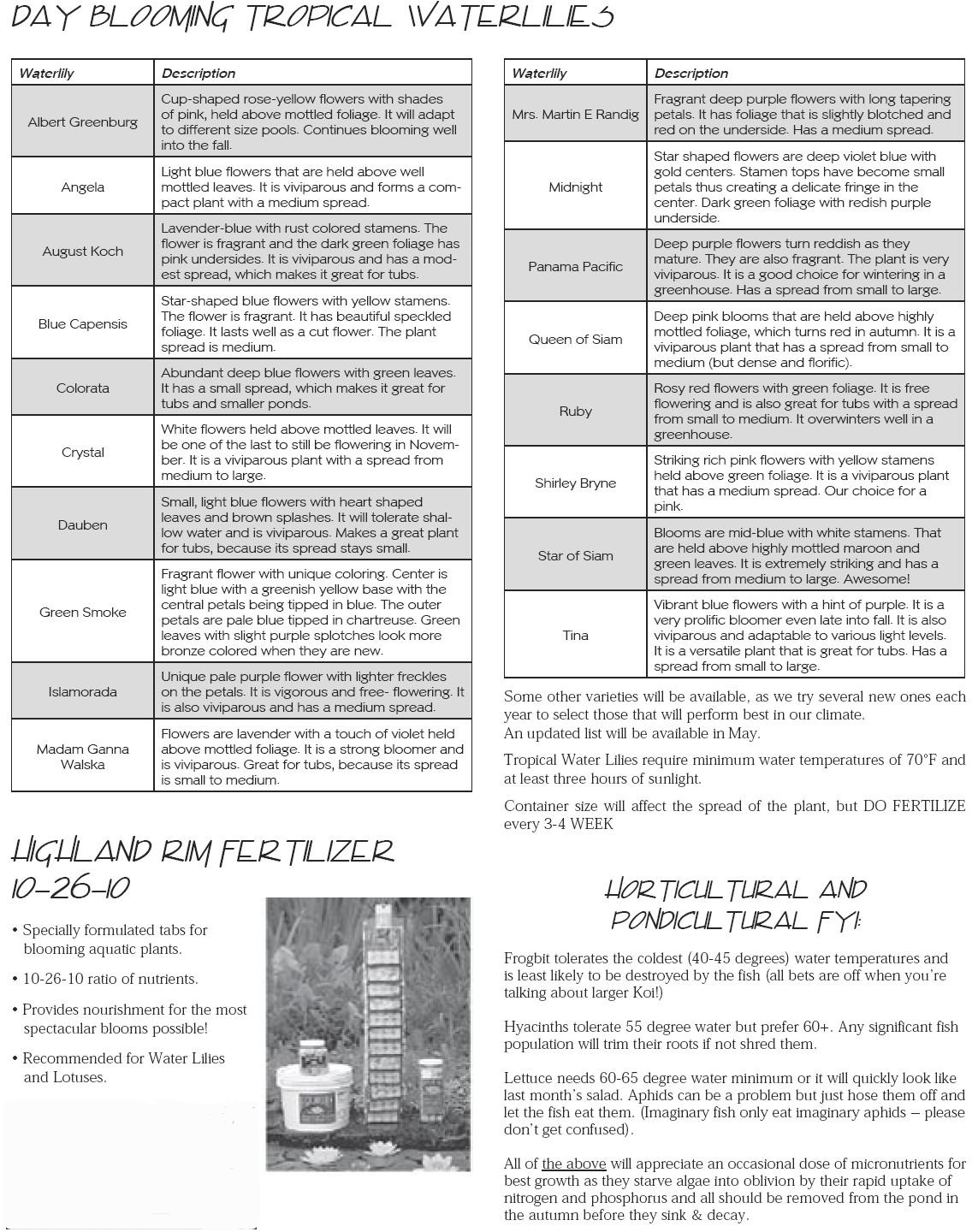 Tropical Lilly Info2