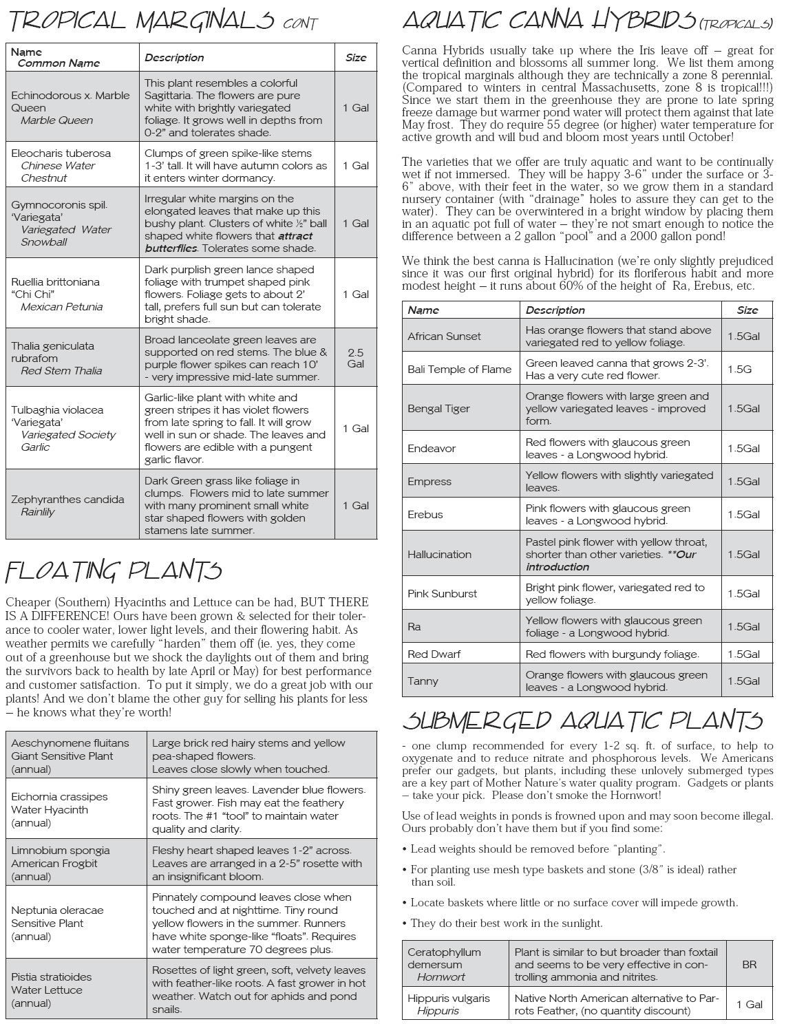 Tropical Marginal Info