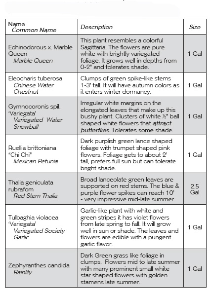 Tropical Marginal Info