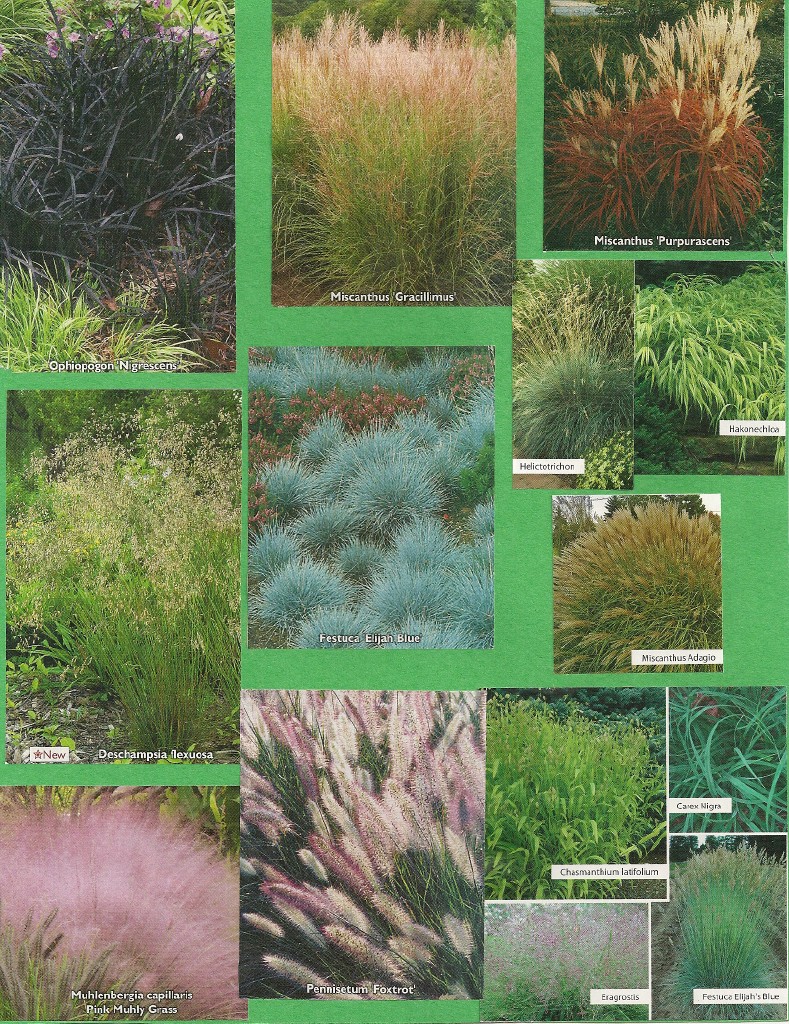 Grassinfo1