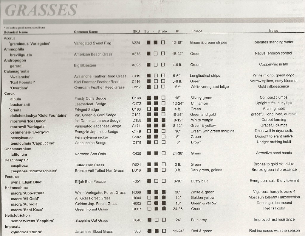 Grass Info2