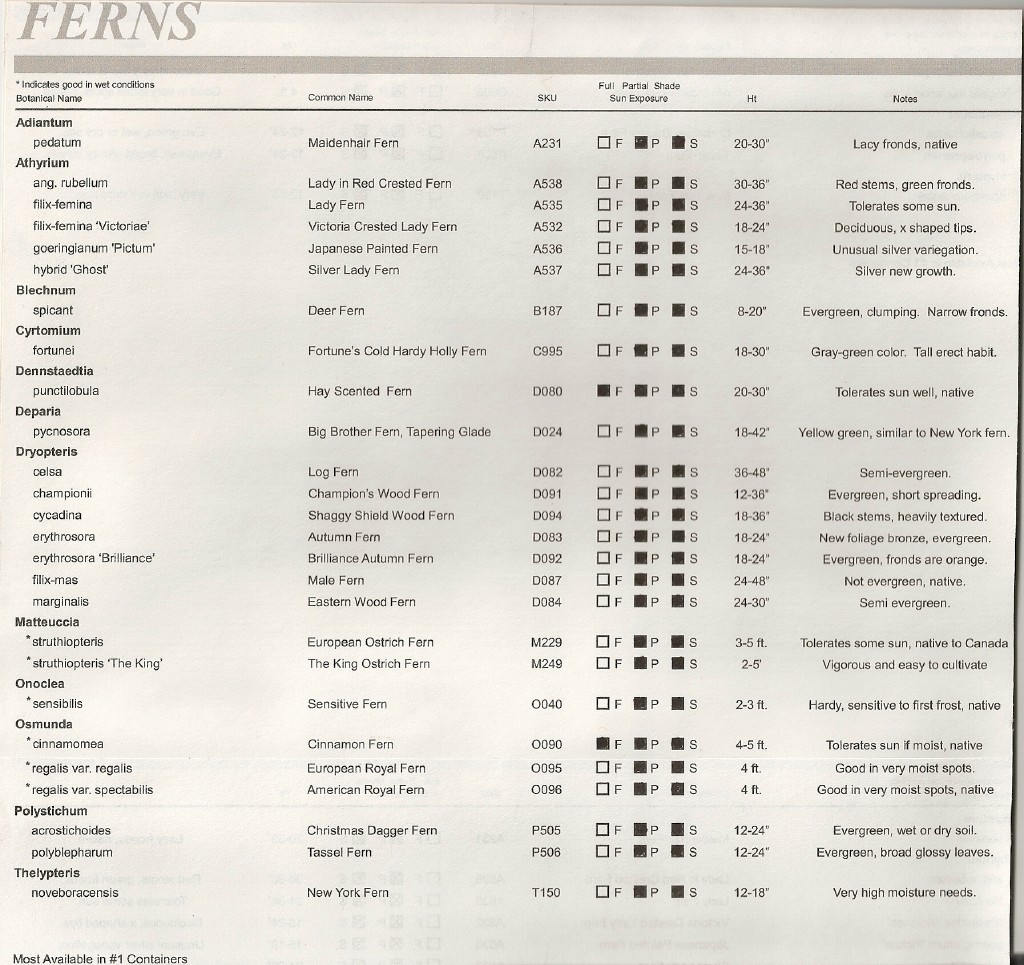 Grass Info 6