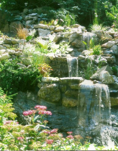 Cohasset After Picture