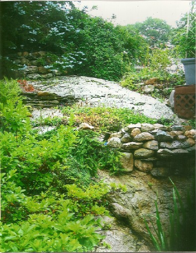 Cohasset Before Picture