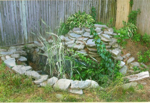 Carver before picture