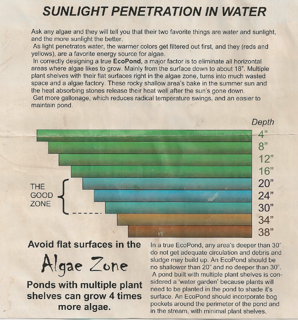 Pond Info 4